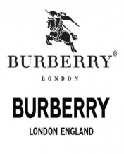 همه چیز درباره برند Burberry